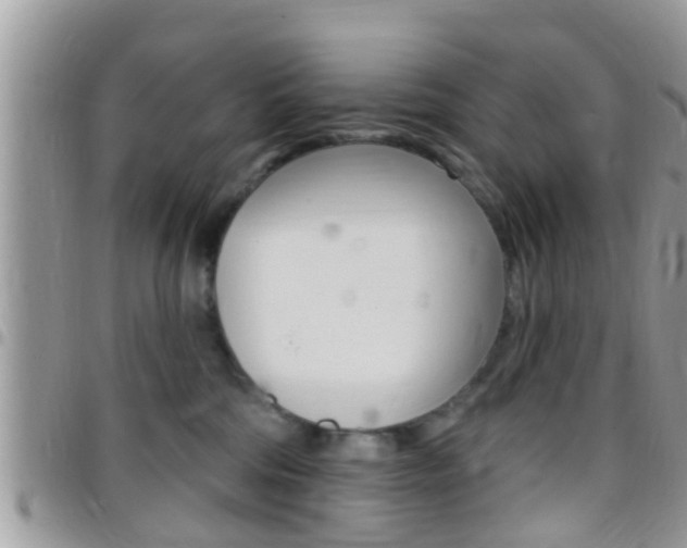 X0000096150330200801180835