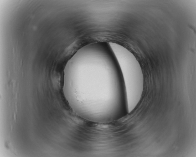 X0000096150332200801180835