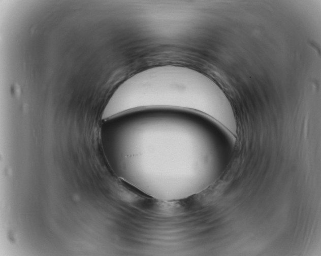 X0000096150333200801180835