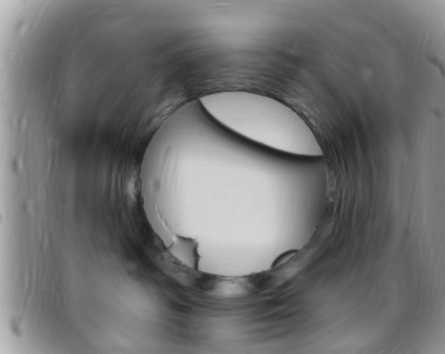 X0000096150334200801180835