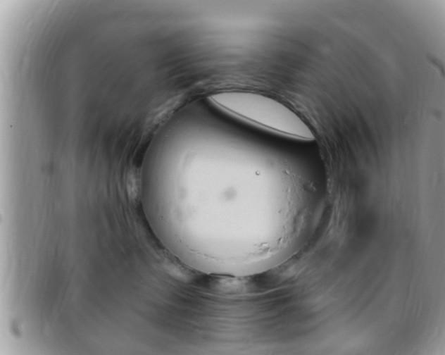 X0000096150335200801180835