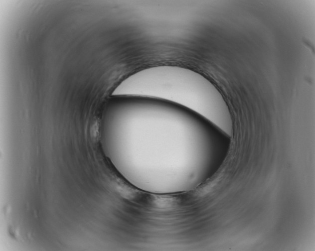 X0000096150336200801180835