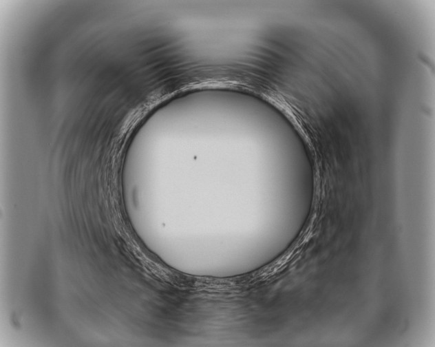 X0000096150337200801180834