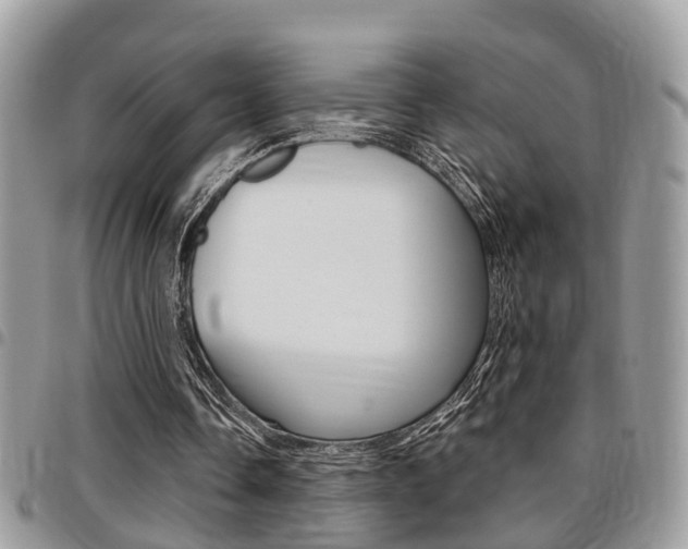 X0000096150338200801180834