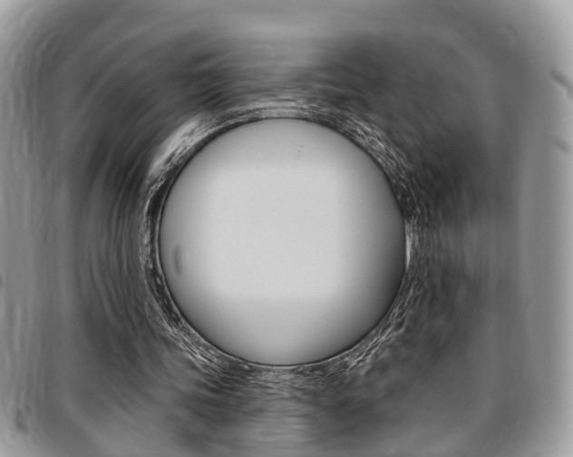 X0000096150339200801180834