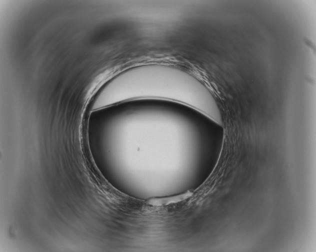 X0000096150340200801180834