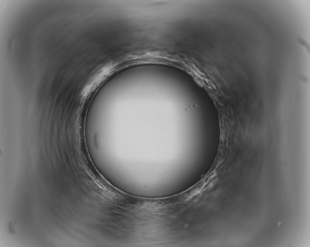 X0000096150341200801180834