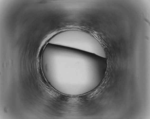 X0000096150342200801180834