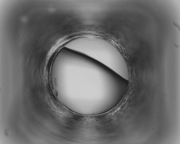 X0000096150343200801180834