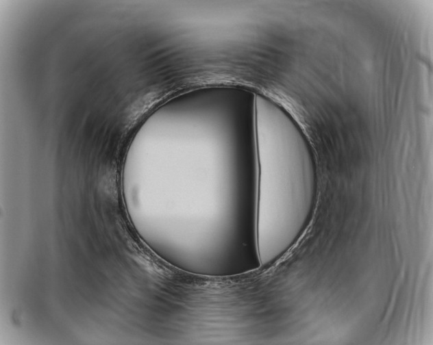 X0000096150345200801180834