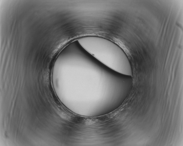 X0000096150346200801180834
