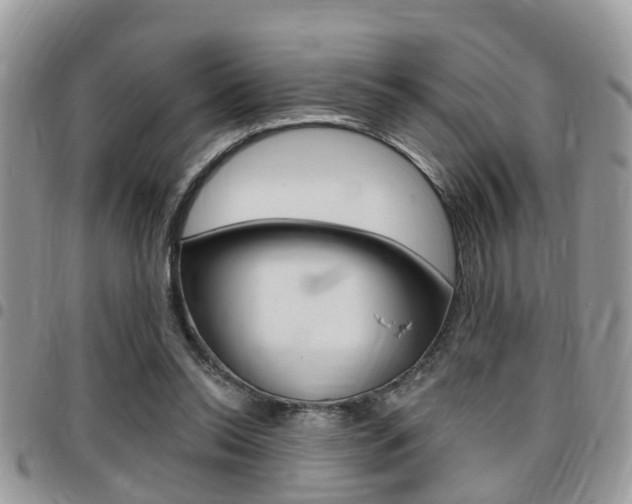 X0000096150350200801180834