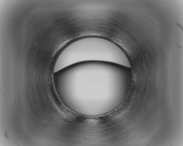 X0000096150352200801180834