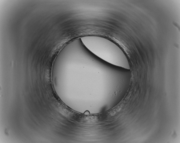 X0000096150353200801180834