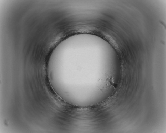 X0000096150354200801180834