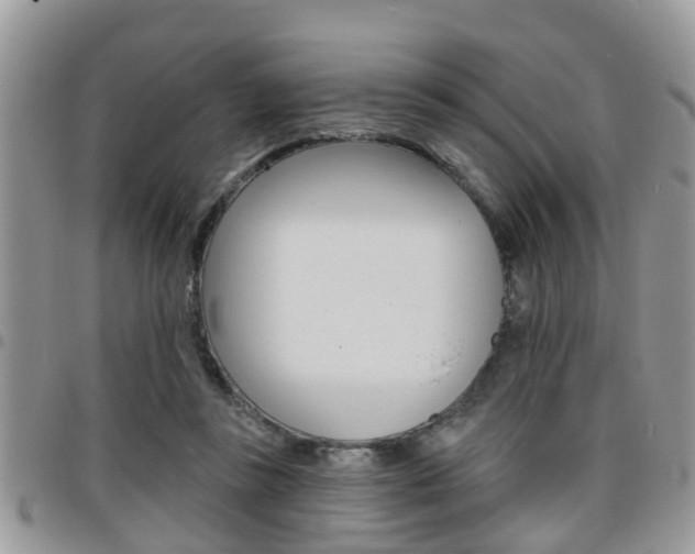 X0000096150355200801180834