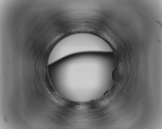 X0000096150356200801180834