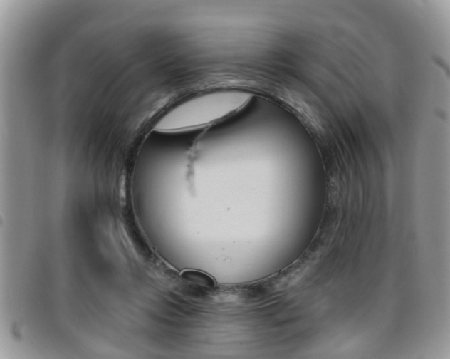 X0000096150358200801180834