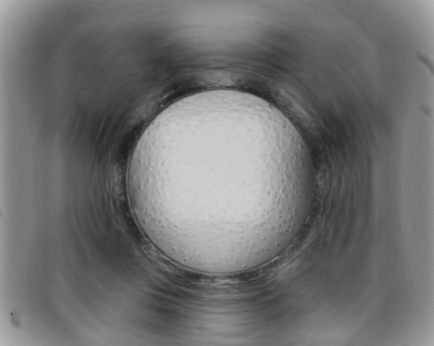 X0000096150359200801180834