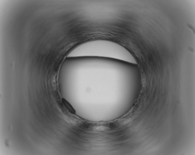X0000096150360200801180834