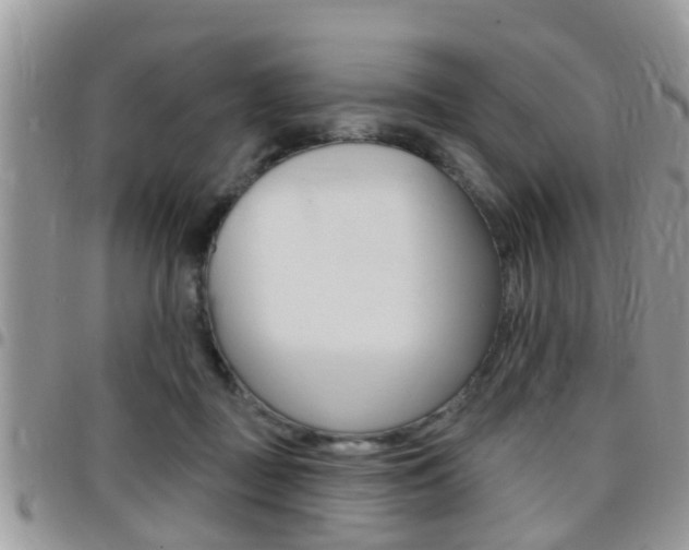 X0000096150363200801180834