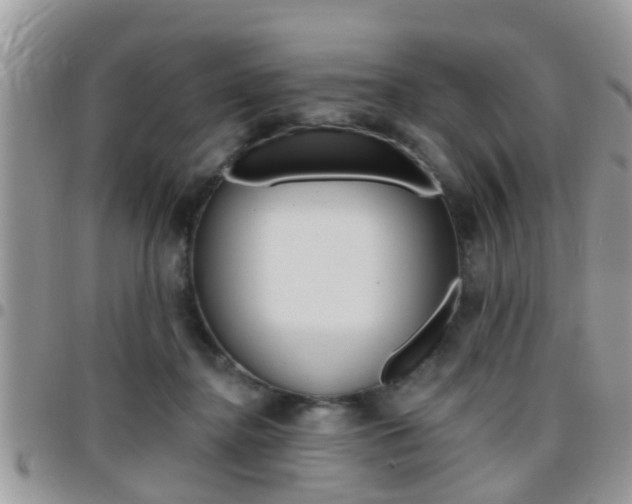 X0000096150364200801180834