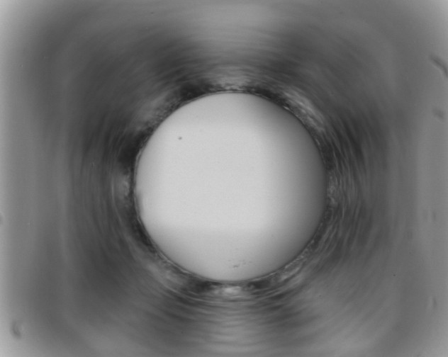 X0000096150365200801180834