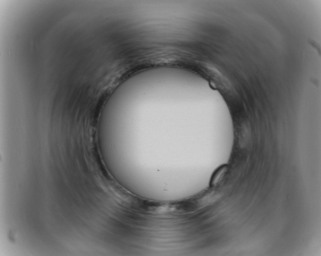 X0000096150366200801180834