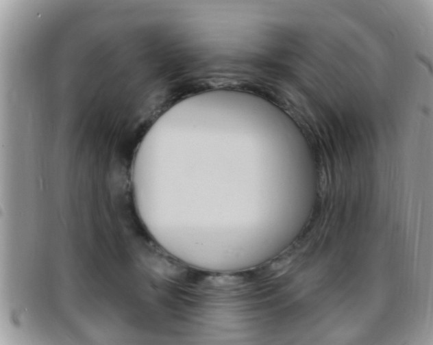 X0000096150367200801180834