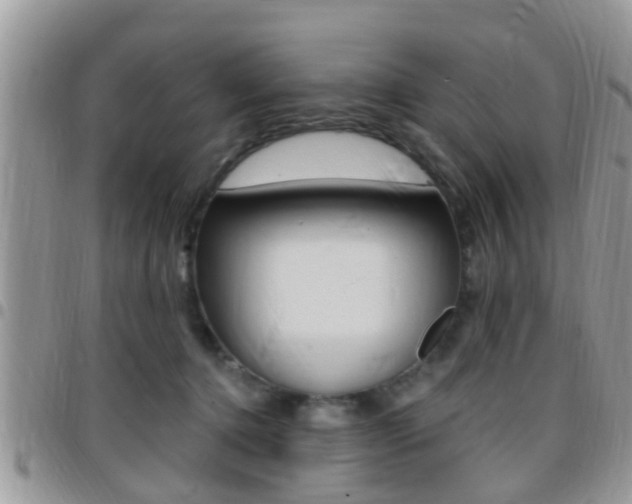 X0000096150368200801180834