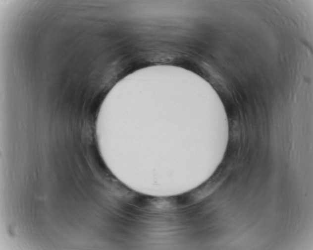 X0000096150370200801180834