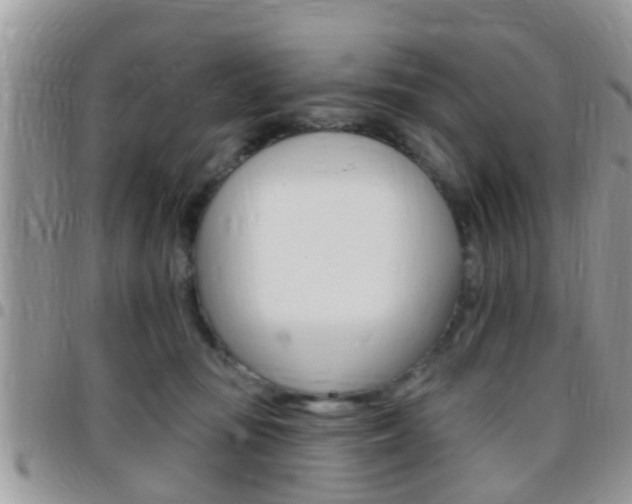 X0000096150371200801180835