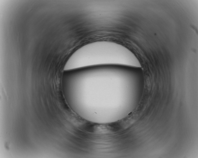 X0000096150372200801180835
