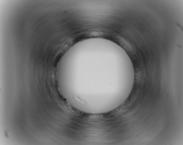 X0000096150373200801180835