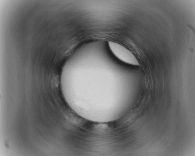X0000096150374200801180835