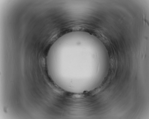 X0000096150375200801180835