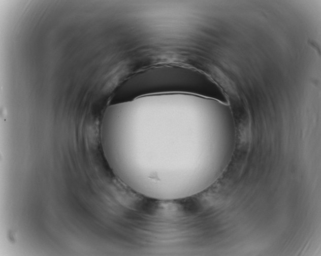 X0000096150376200801180835