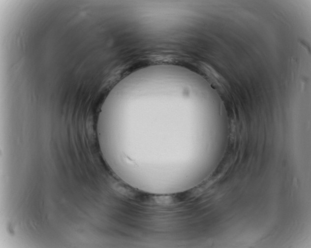 X0000096150377200801180835
