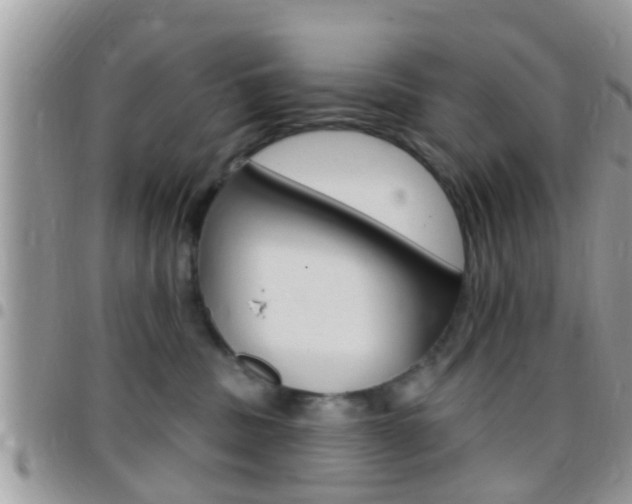 X0000096150379200801180835