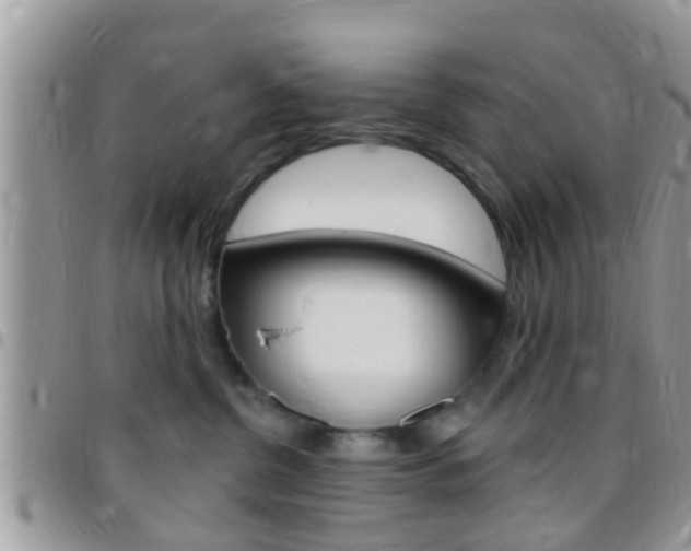 X0000096150380200801180835