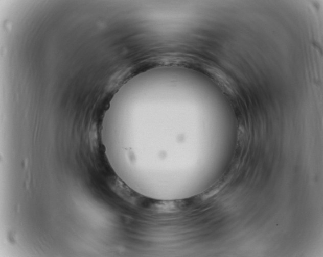 X0000096150381200801180835