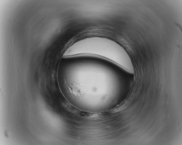 X0000096150382200801180835