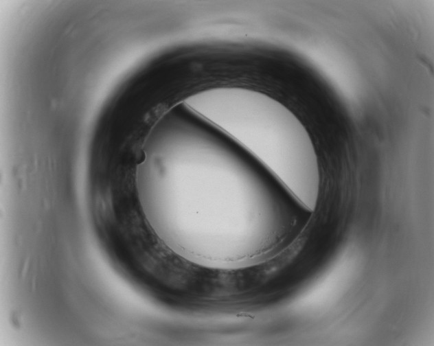 X0000096150383200801180835