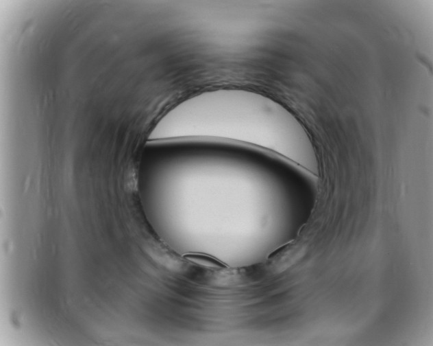 X0000096150384200801180835