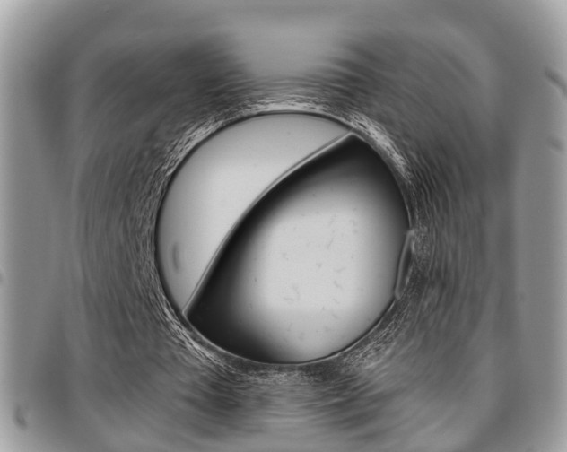 X0000096150385200801180834