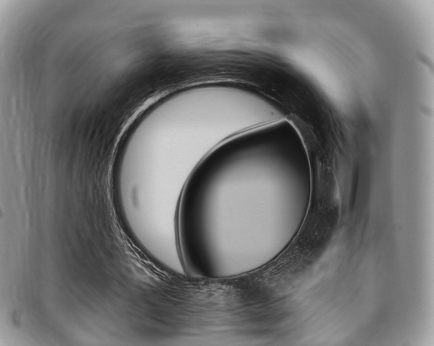 X0000096150387200801180834