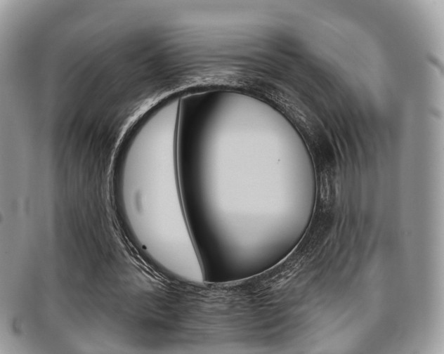 X0000096150388200801180834