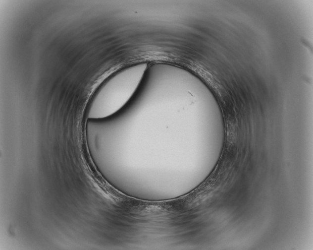 X0000096150390200801180834