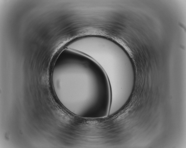 X0000096150391200801180834