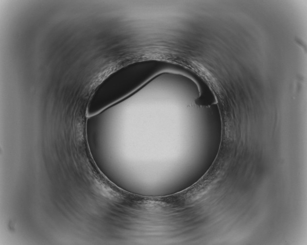 X0000096150393200801180834